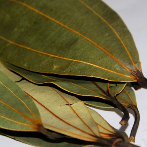 Bay Leaf 100gm